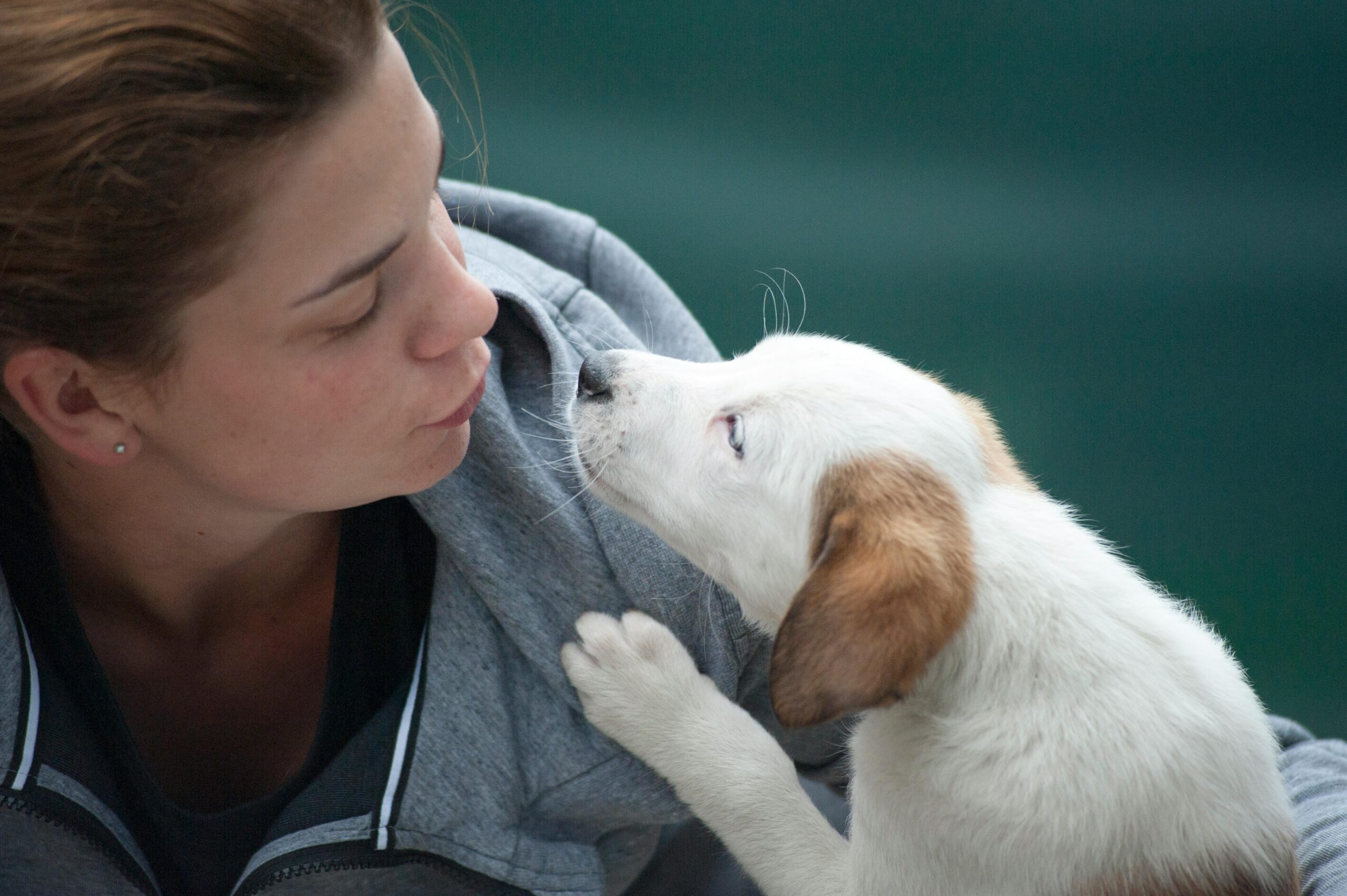 woman taking care or pet dog